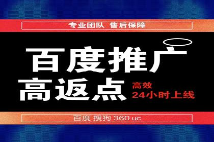 揭秘百度竞价排名：实战案例解析