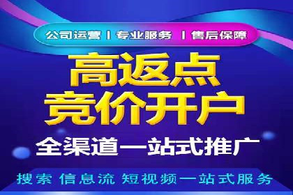 金融行业SEM运营的技巧与成功案例